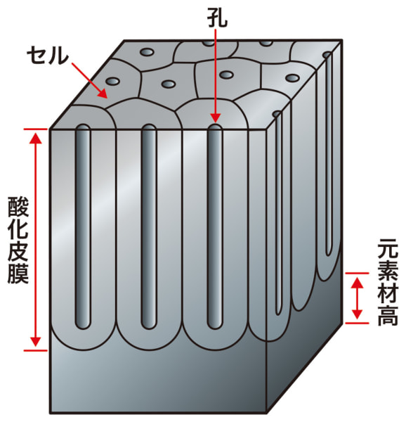 酸化被膜とは?