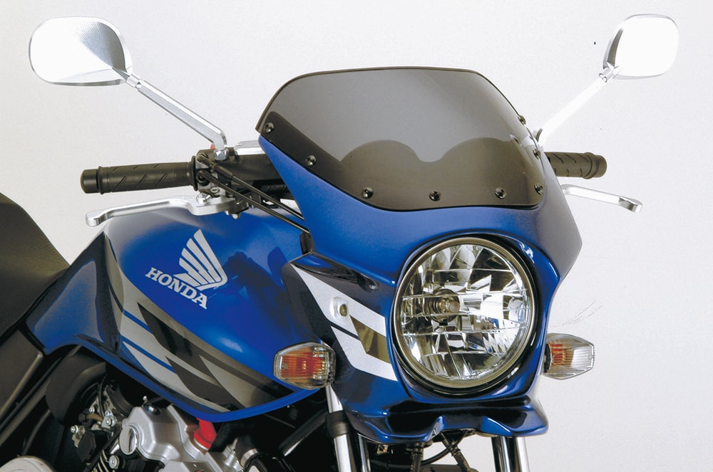 ビキニカウル DS-01 単色塗装 バイクパーツメーカー ワールドウォーク 